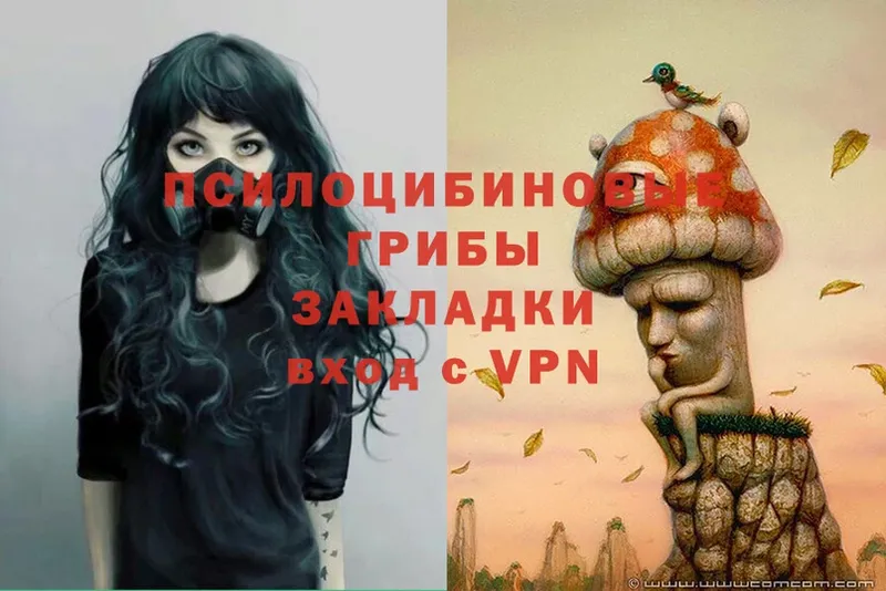 Псилоцибиновые грибы Psilocybe  купить наркотики сайты  Шахты 